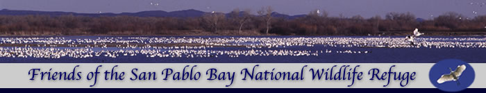 Friends of the San Pablo Bay National Wildlife Refuge