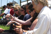 Volunteers working in the Nursery